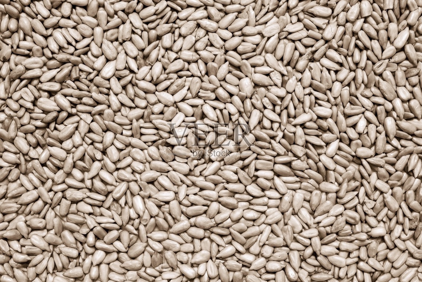 清理过的葵花籽照片摄影图片