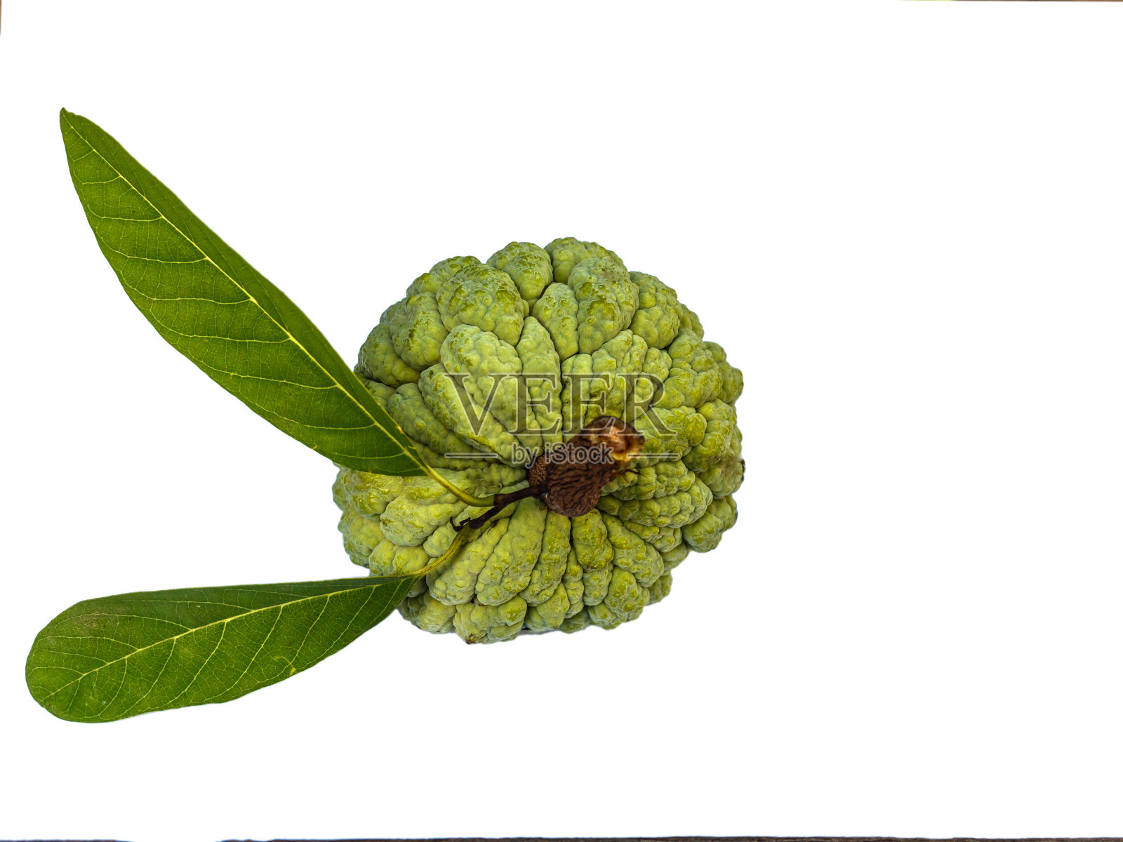 在白色背景上孤立的番荔枝照片摄影图片