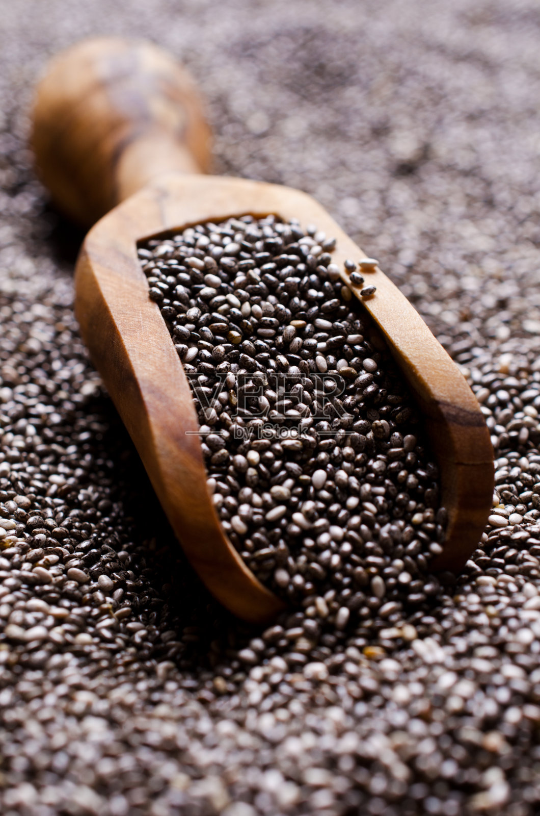 背景芡欧鼠尾草种子照片摄影图片