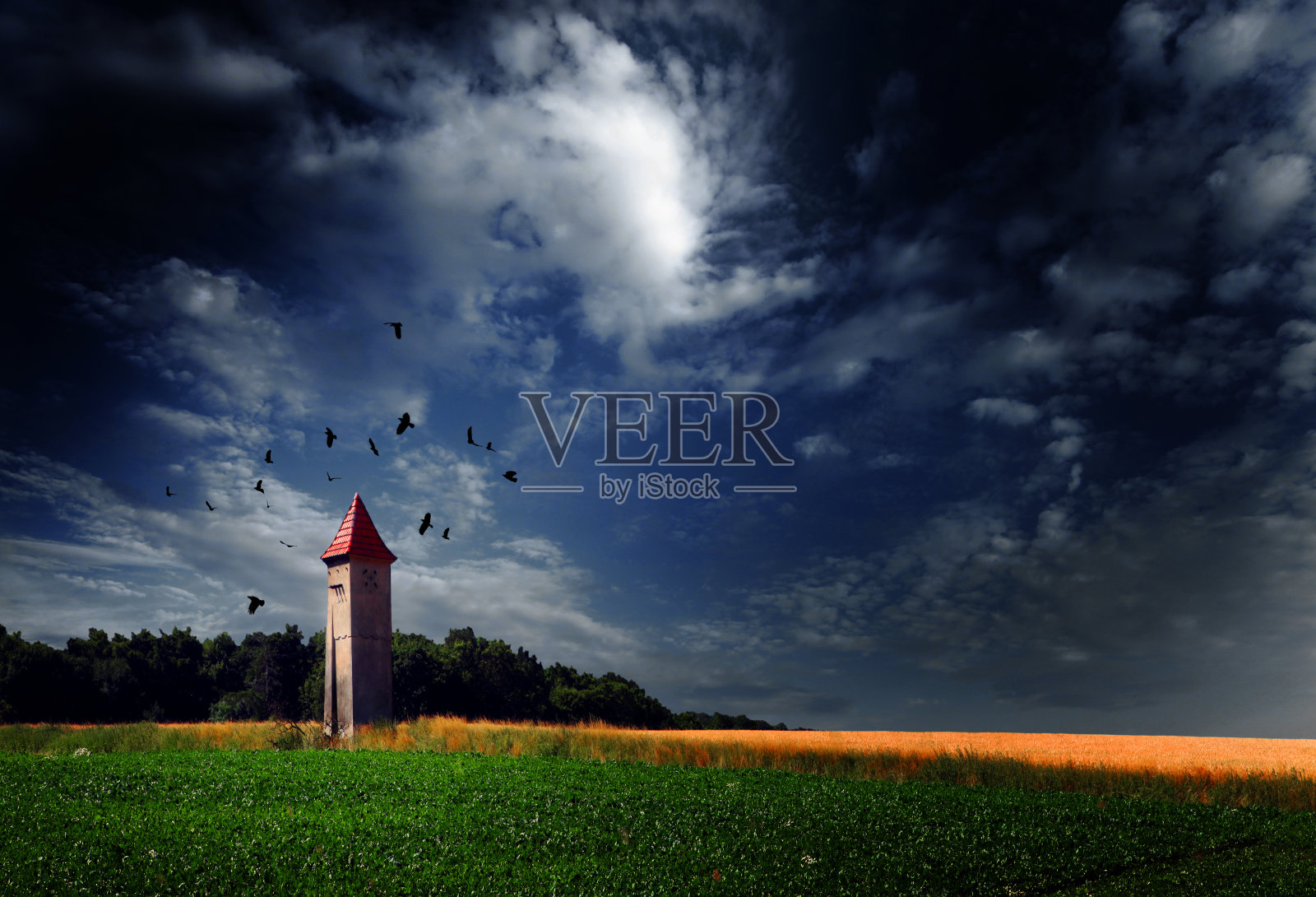 塔和旋涡乌鸦照片摄影图片