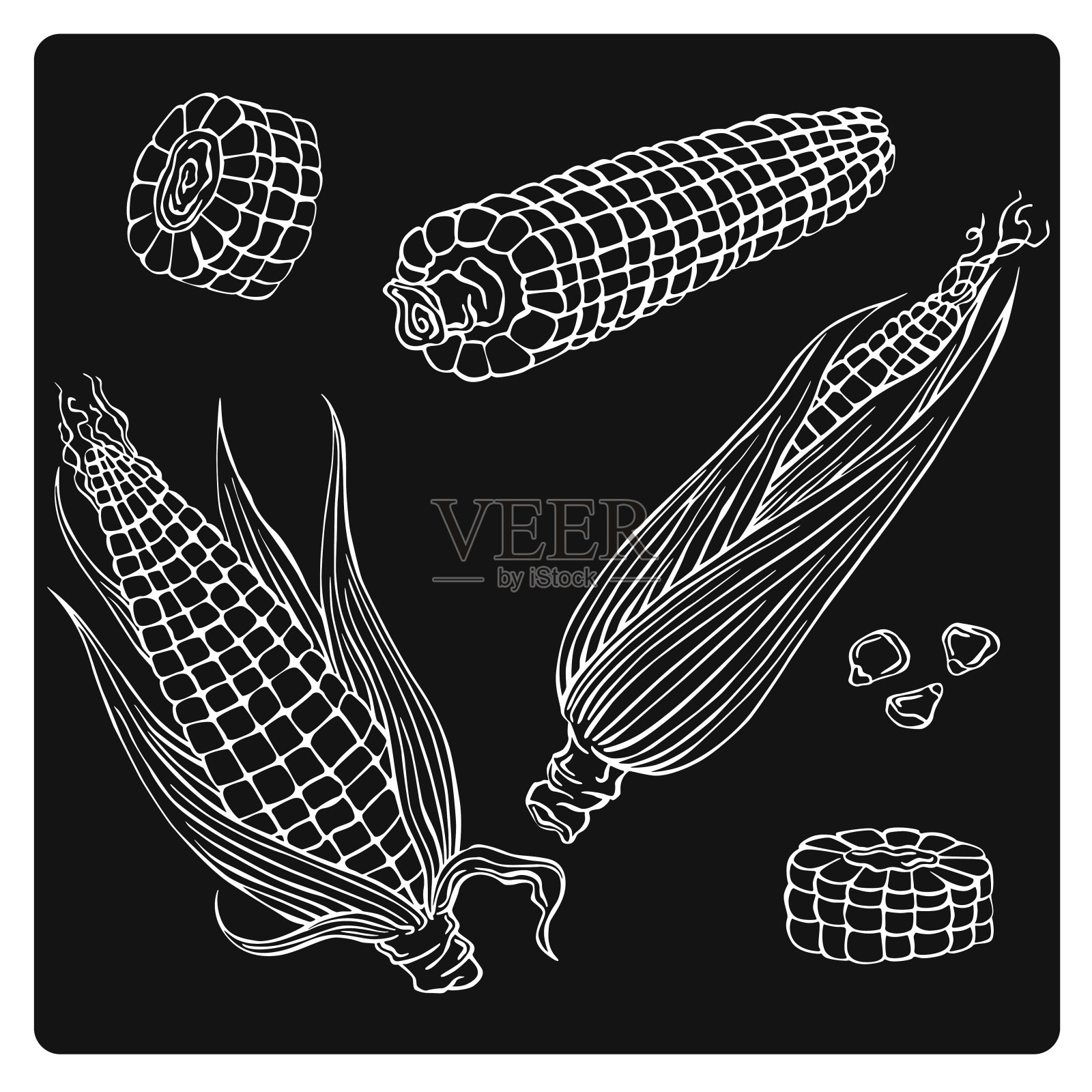 矢量插图玉米剪影插画图片素材