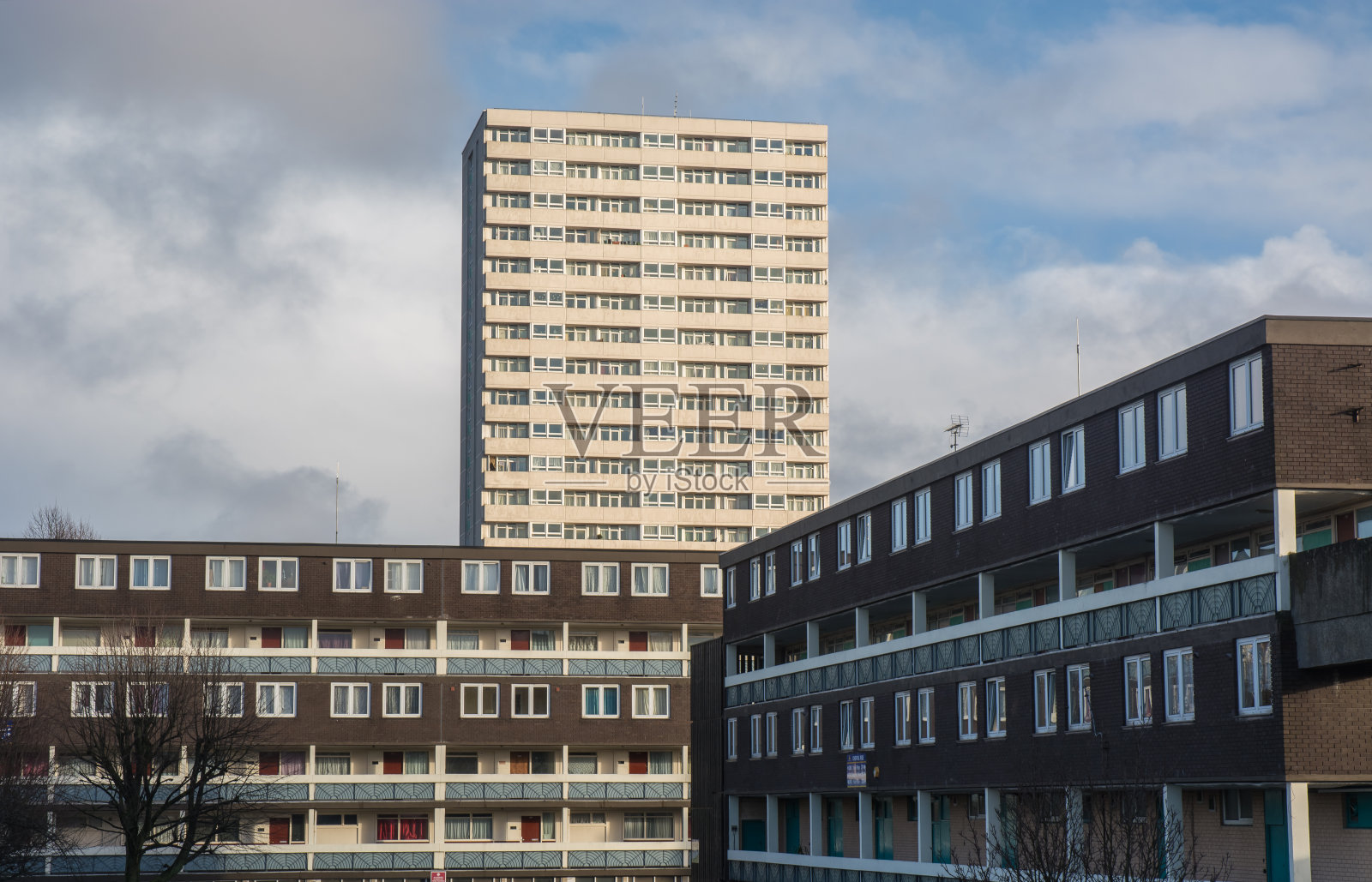 山萝卜上升,伍尔弗汉普顿照片摄影图片