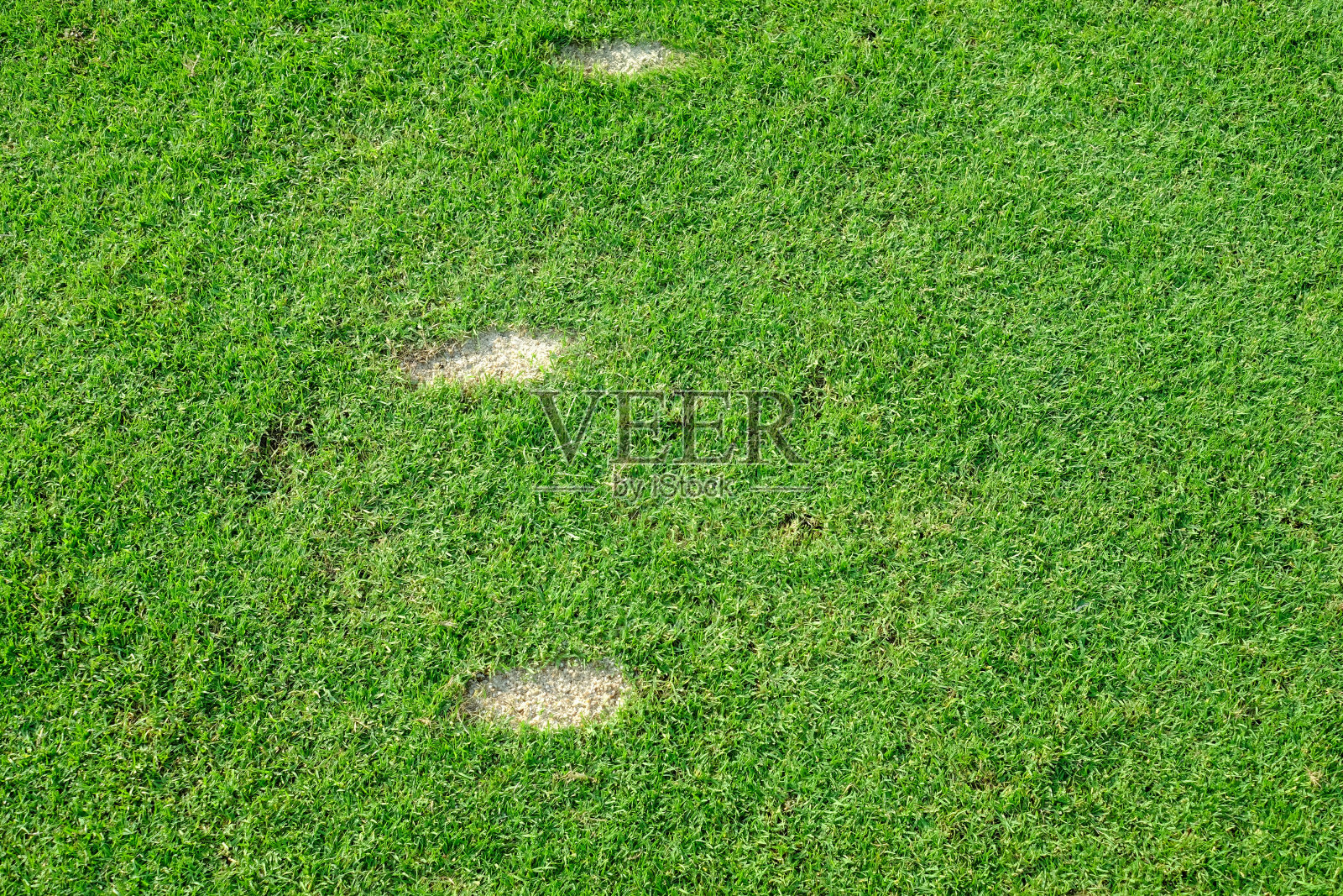 高尔夫球发球场上的草皮照片摄影图片