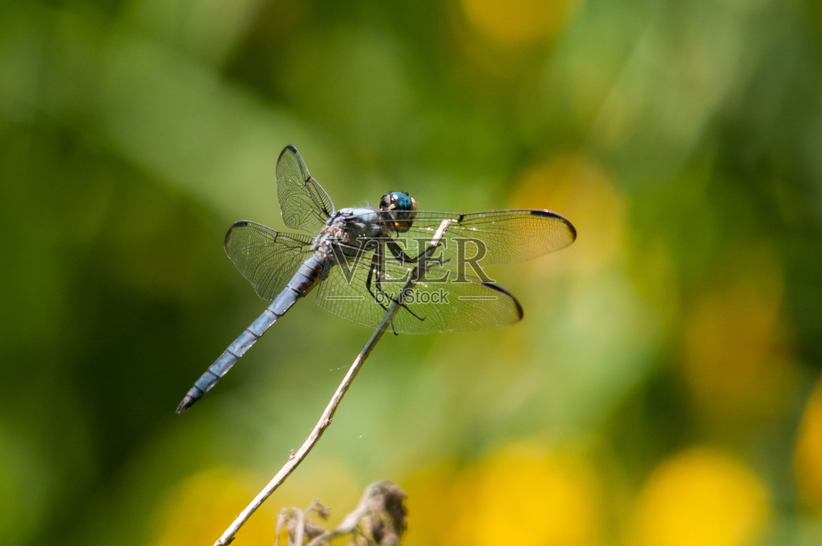 伟大的蓝色回收船照片摄影图片