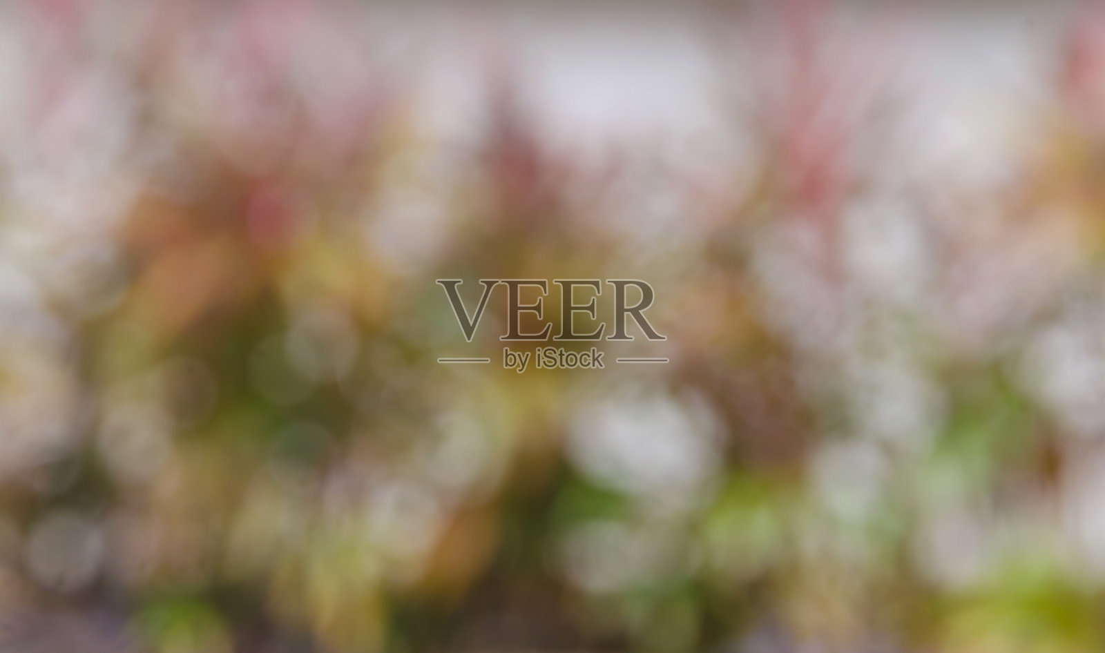 美丽的自然虚景作为背景照片摄影图片