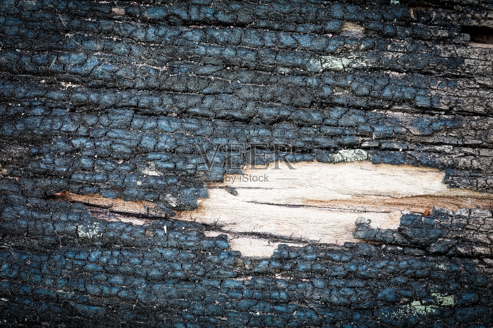 纹理老木背景照片摄影图片