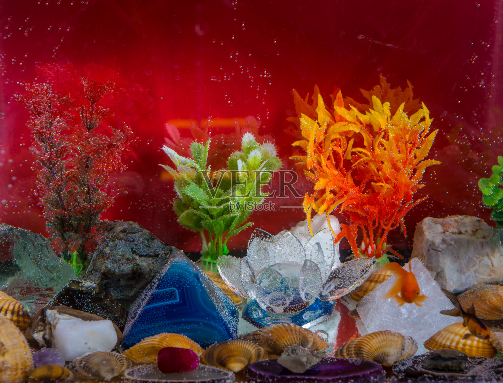 与鱼水族馆照片摄影图片