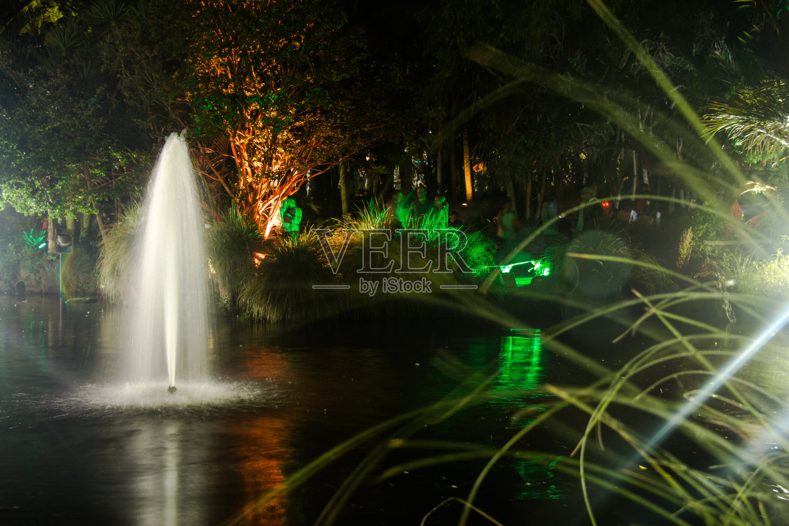 新西兰奥克兰域公园的喷泉照片摄影图片