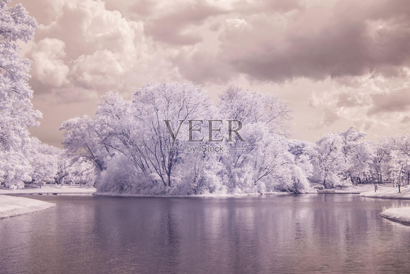 有池塘的公园里的树和草照片摄影图片