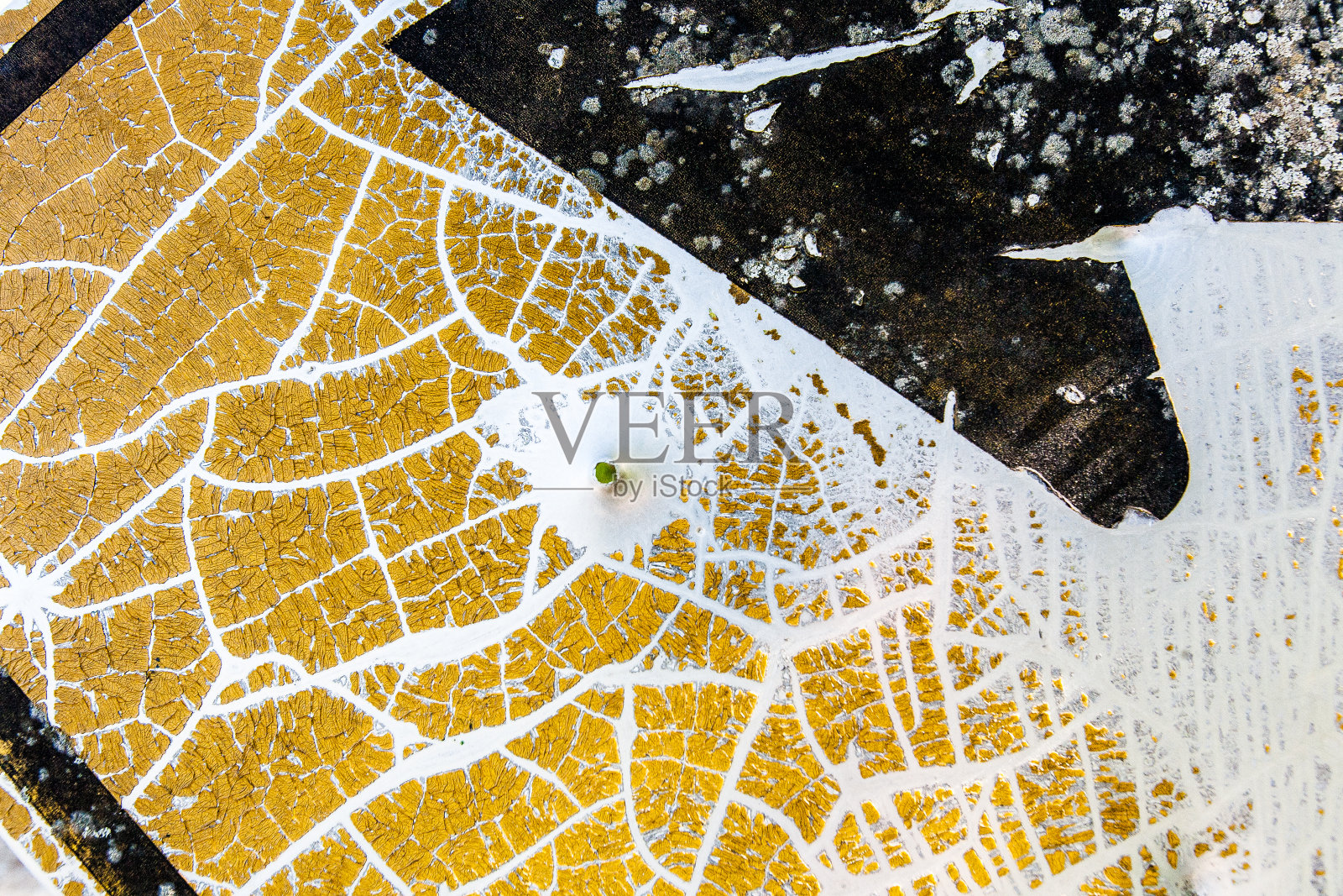 油漆芯片照片摄影图片