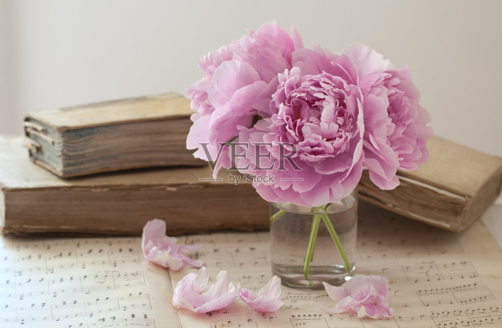 牡丹和古书照片摄影图片