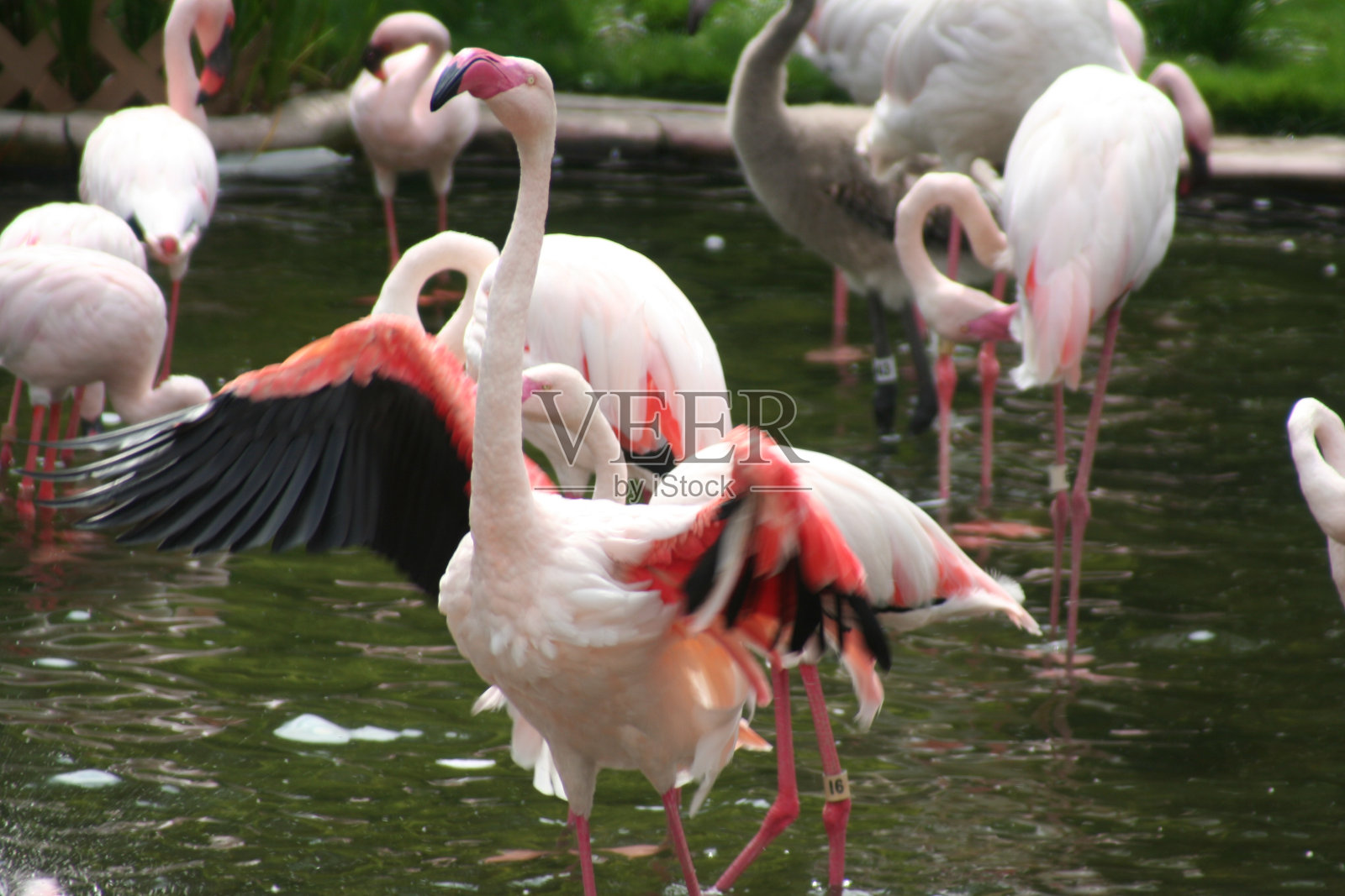 香港照片摄影图片
