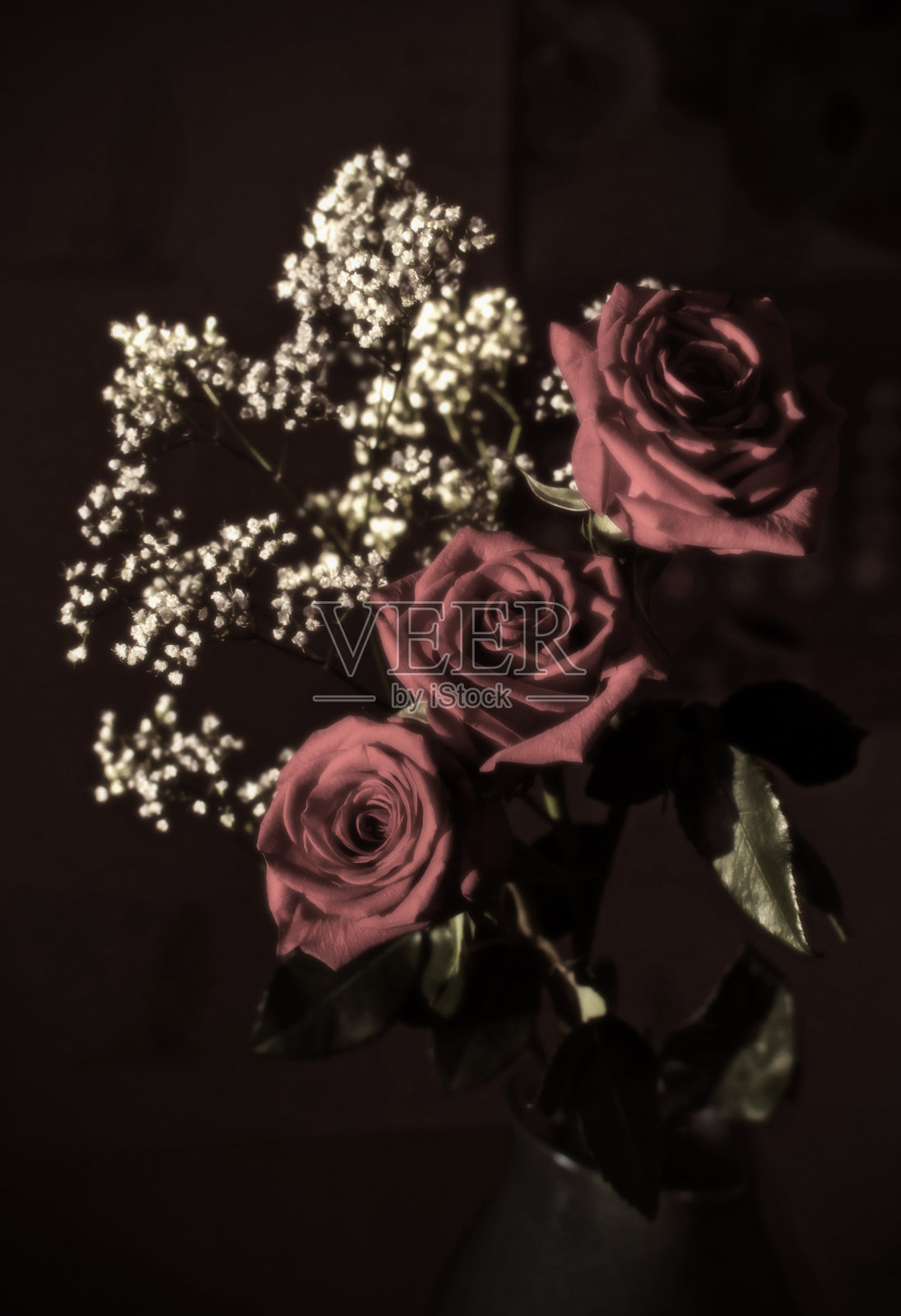 红色的玫瑰和白色的花照片摄影图片