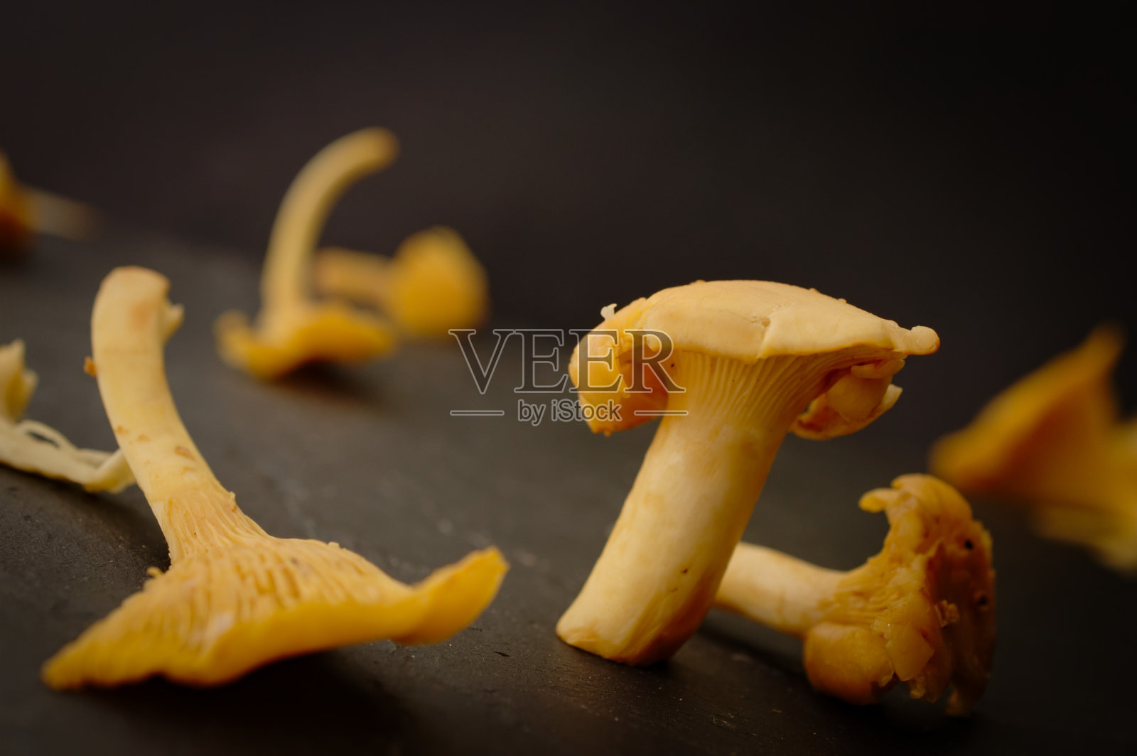 新鲜采摘的鸡油菌放在黑色的石板上照片摄影图片