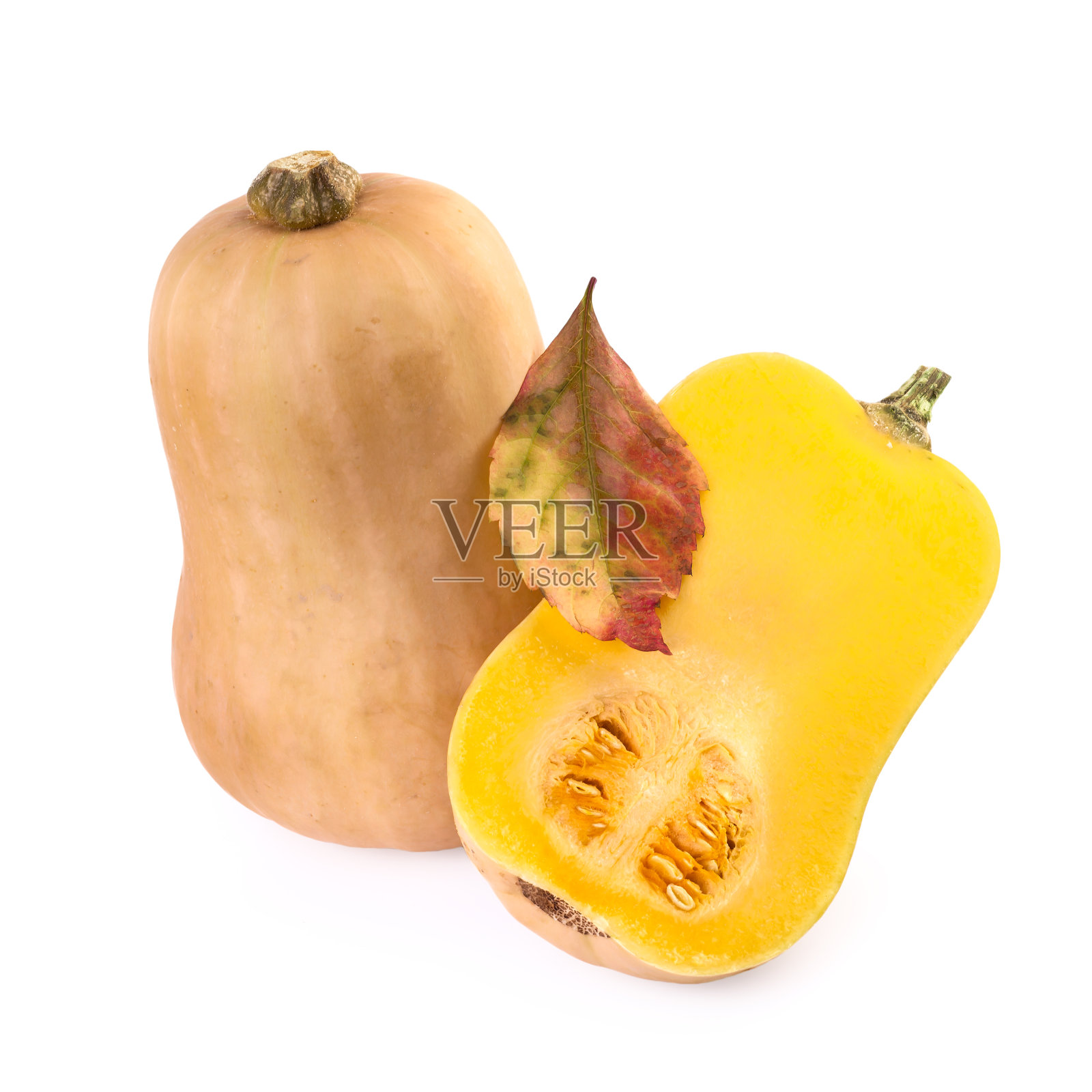 在白色上孤立的南瓜白胡桃照片摄影图片