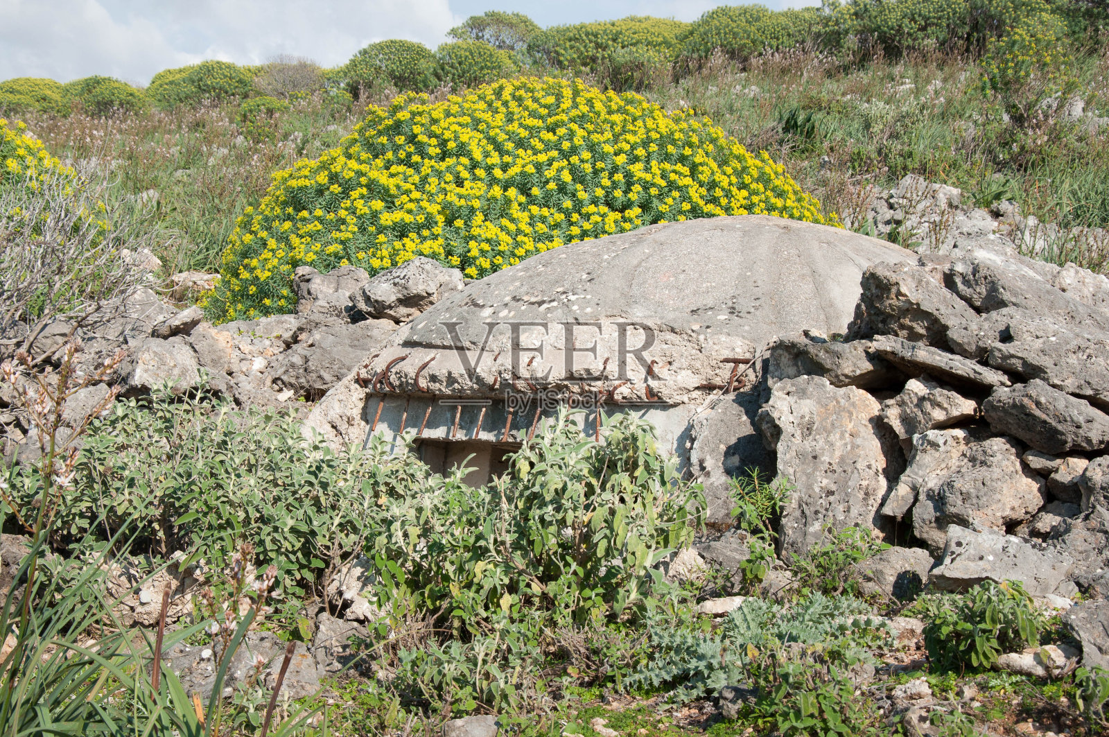 单一掩体穹顶伪装照片摄影图片