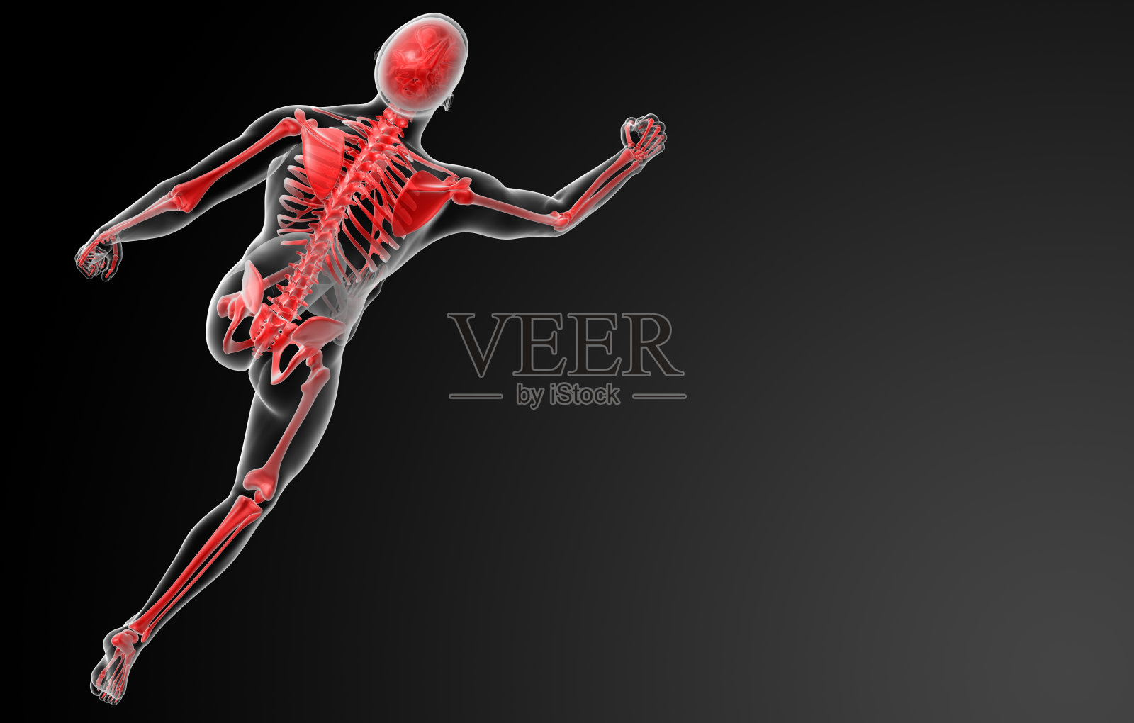 用x光拍下的红色骨架照片摄影图片