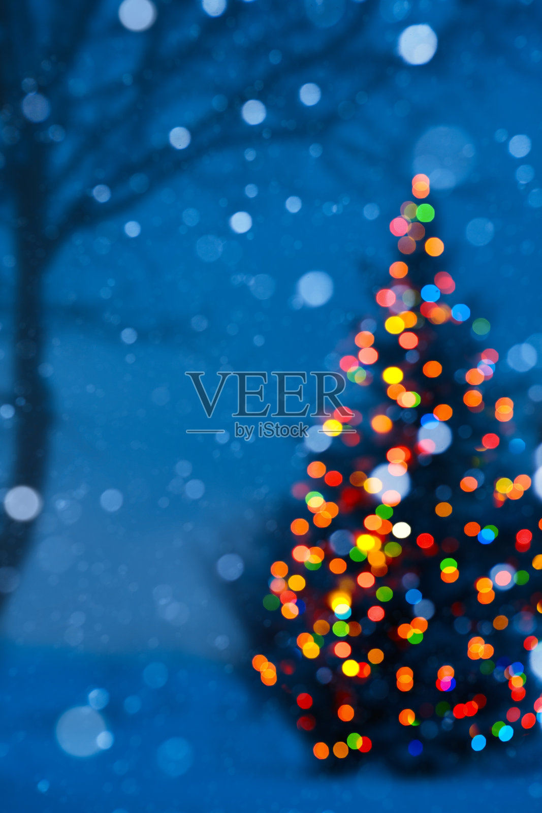 艺术圣诞树灯照片摄影图片