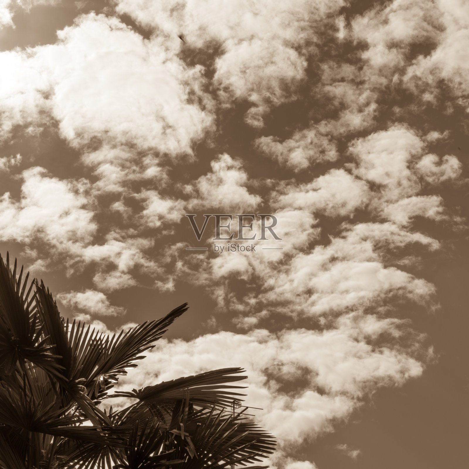 天空的云照片摄影图片