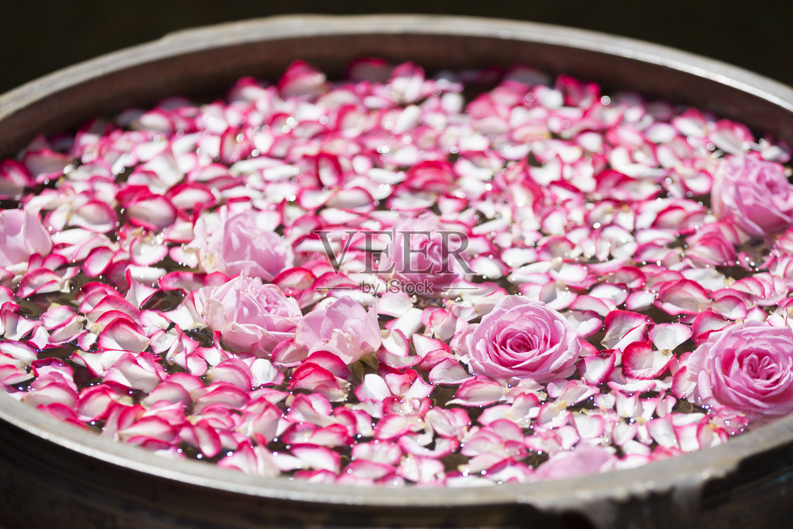 玫瑰和玫瑰花瓣放在盛有水的金属碗里照片摄影图片