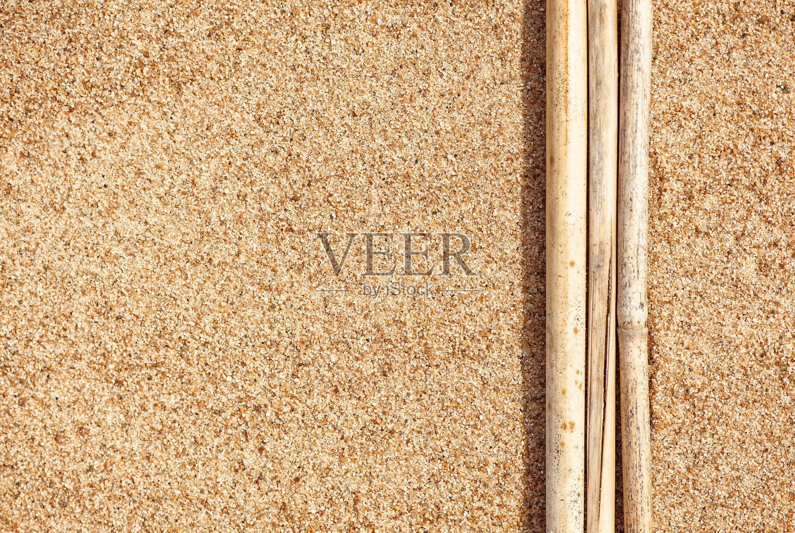 沙地上的枯枝照片摄影图片