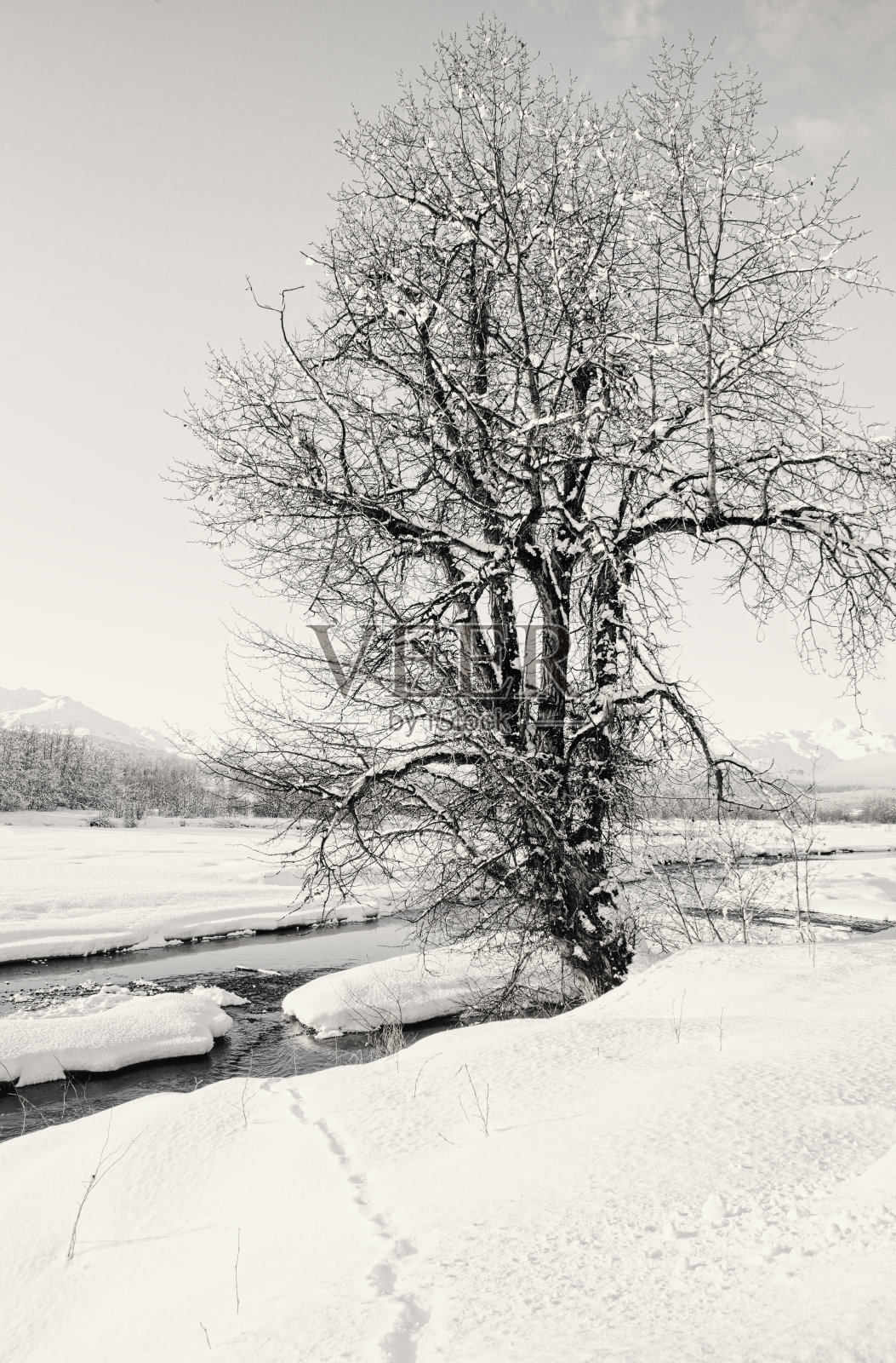 冬天河的场景照片摄影图片