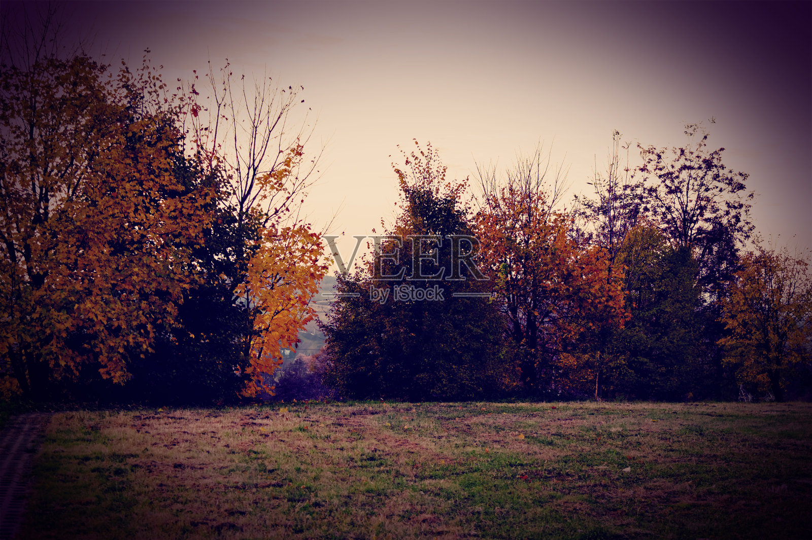 荒野上的秋天，复古的风格照片摄影图片