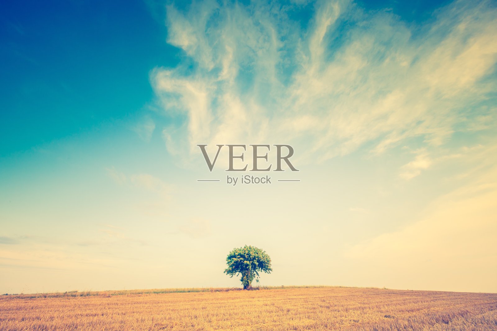 秸秆田与捆的复古照片照片摄影图片