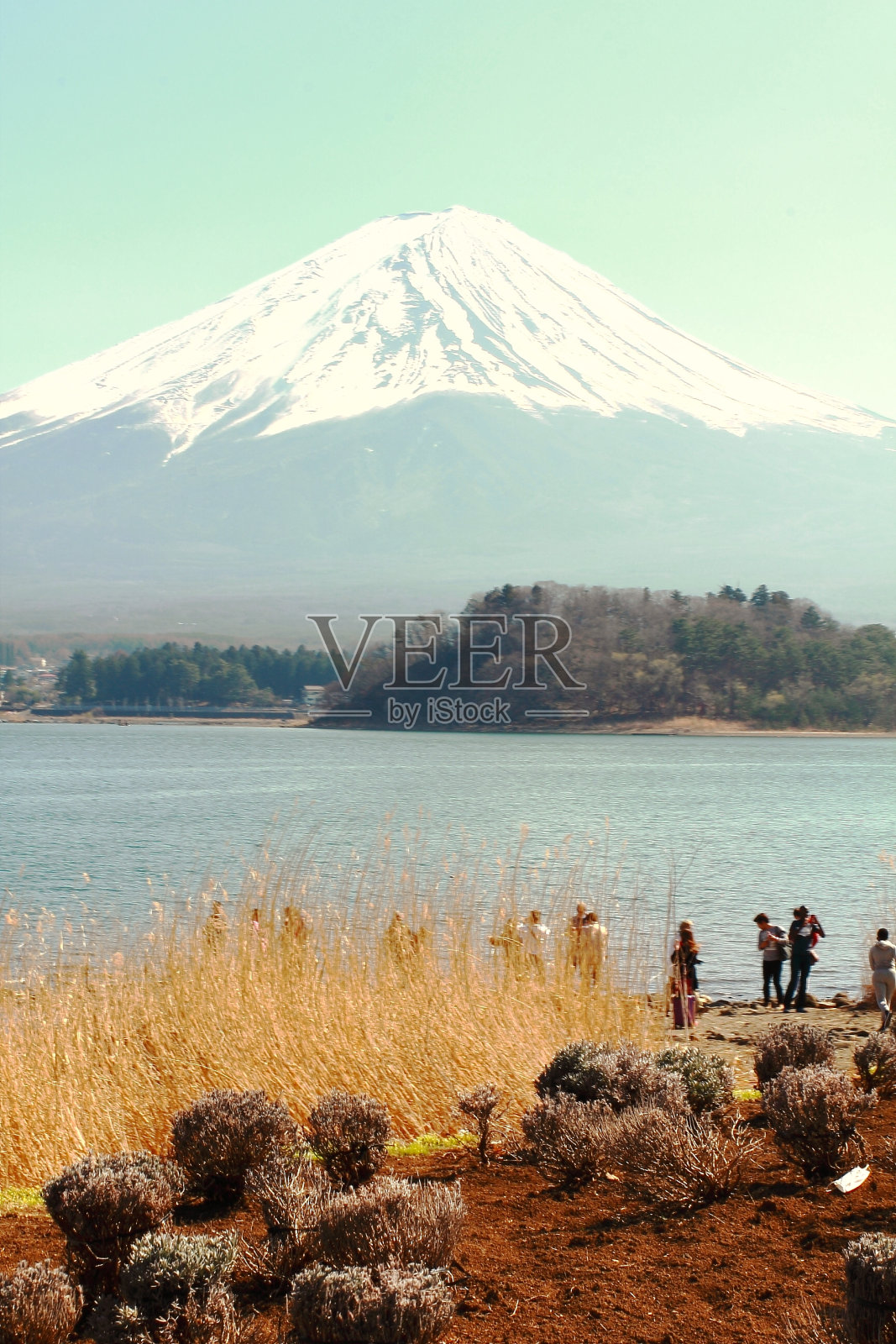 以富士山为背景的川口湖照片摄影图片