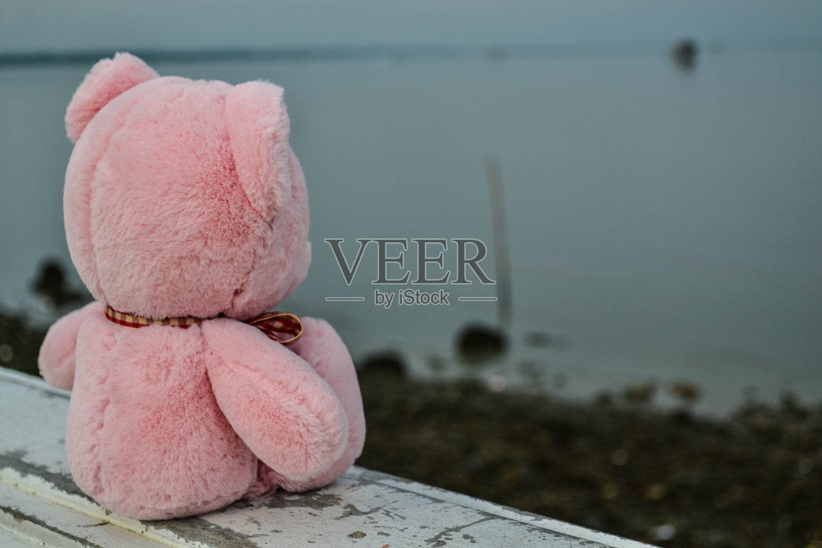 小熊娃娃感到孤独。照片摄影图片