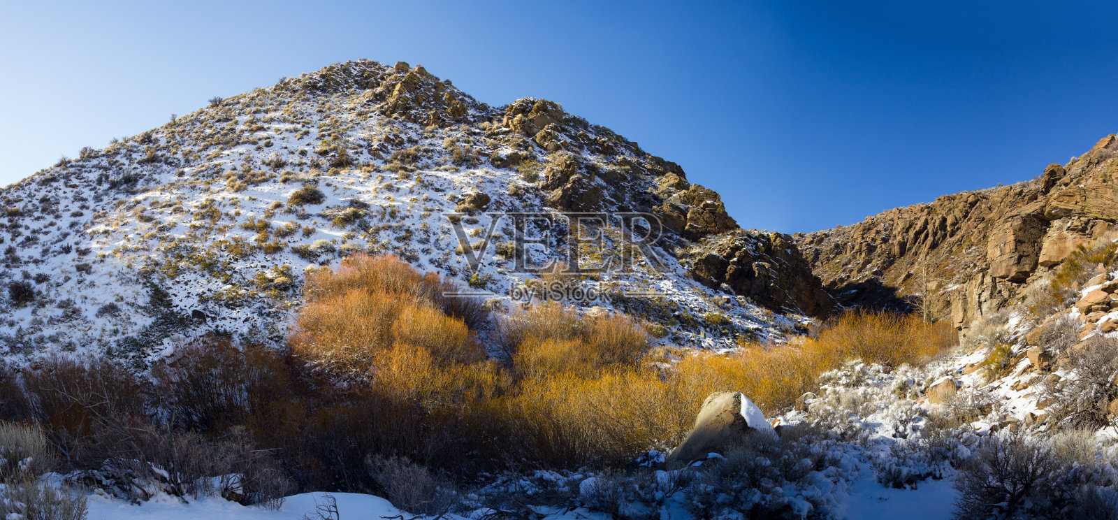 宽阔的白雪皑皑的沙漠峡谷和明亮的橙色灌木丛照片摄影图片