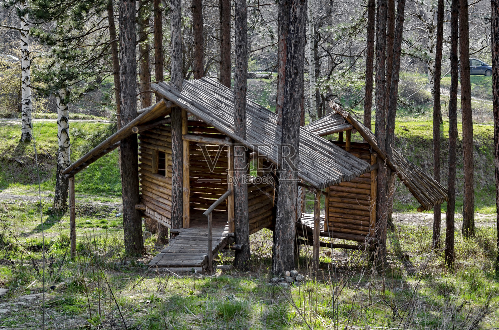 春天的景色，在林间空地上休息照片摄影图片