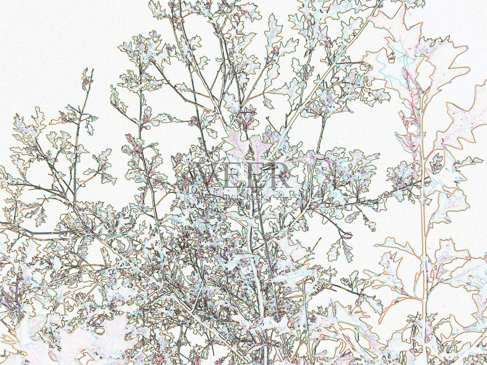 描摹树枝图像在柔和的颜色色调插画图片素材