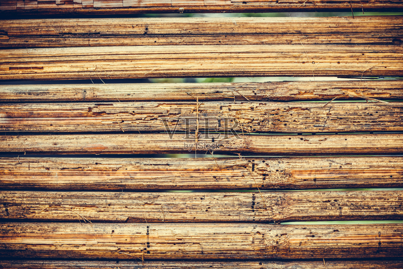 竹子的背景照片摄影图片