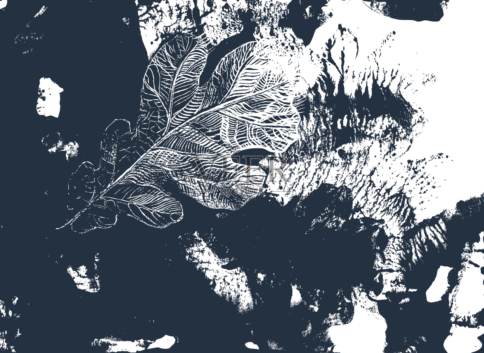 橡树的叶子。秋天的落叶插画图片素材