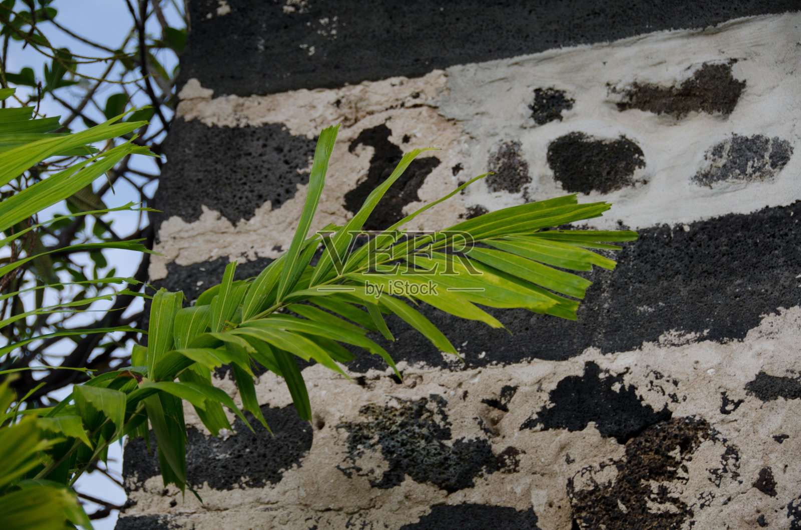 Mokuaikaua教堂的墙壁照片摄影图片