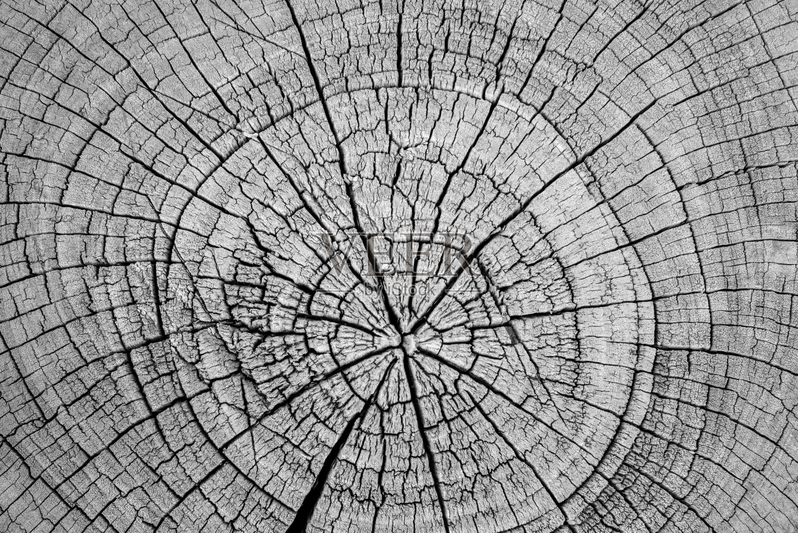 老柴照片摄影图片