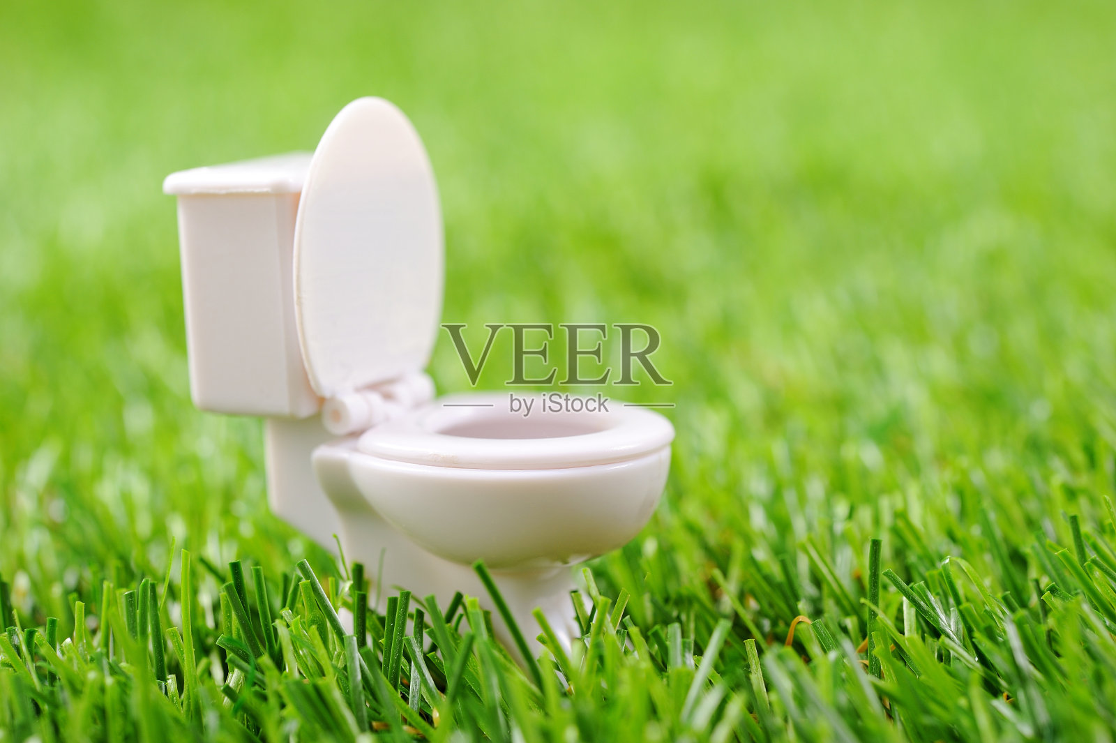 绿色草地上的白色马桶照片摄影图片