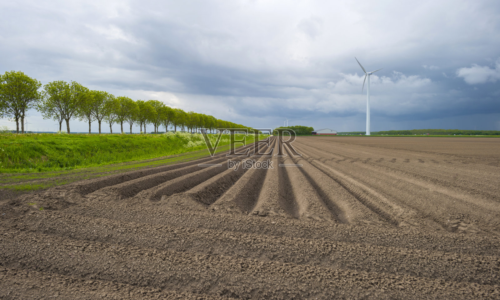 在恶劣天气下犁沟的田地照片摄影图片