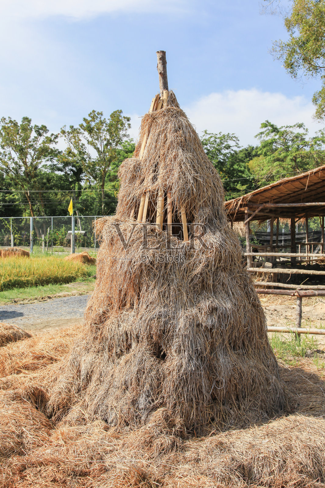 稻草照片摄影图片