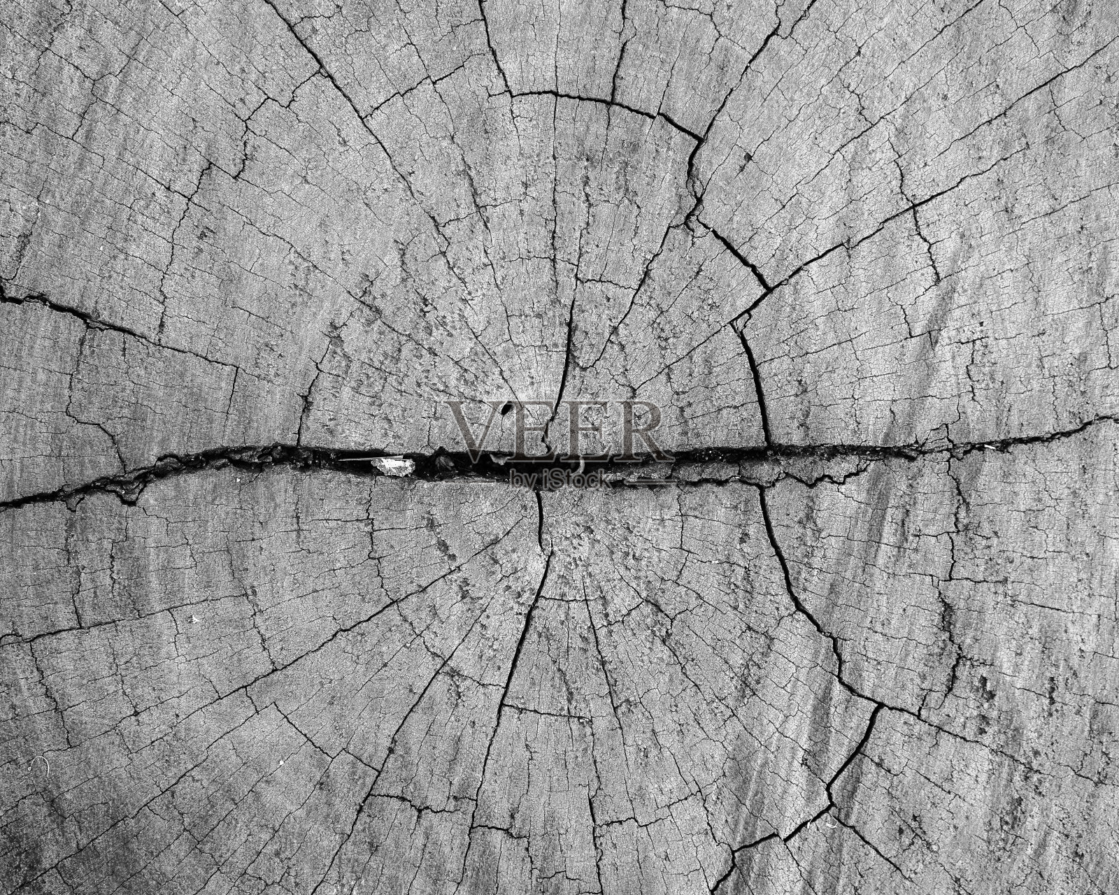 模式和纹理照片摄影图片