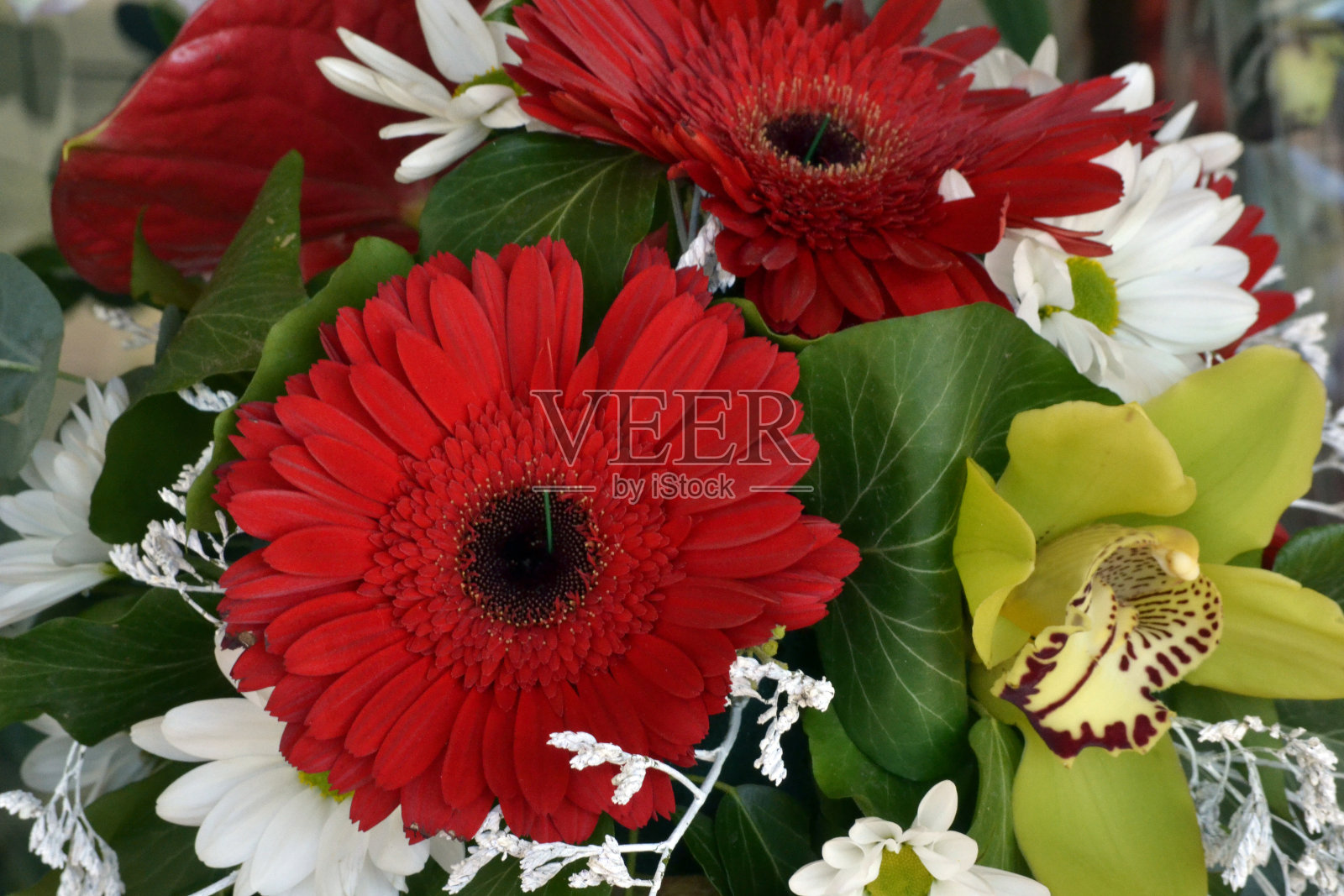 兰花，菊花和非洲菊的花束照片摄影图片