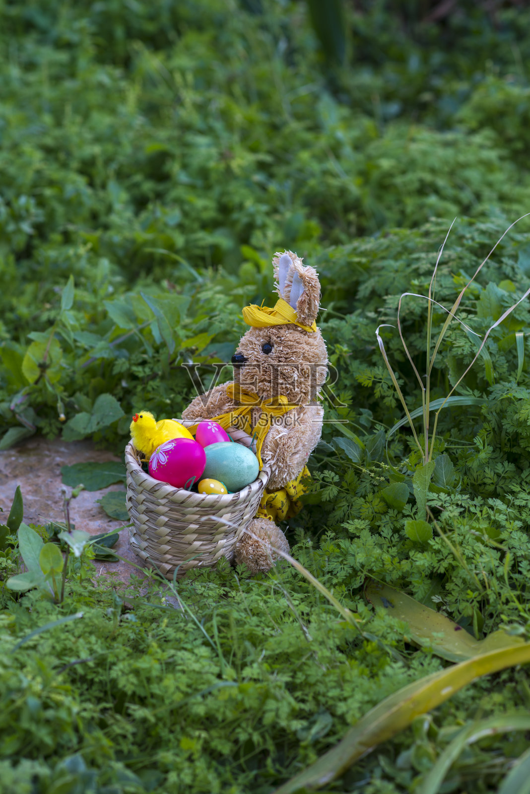 兔子和鸡蛋照片摄影图片