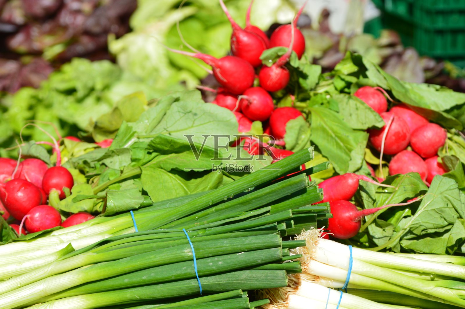 蔬菜照片摄影图片