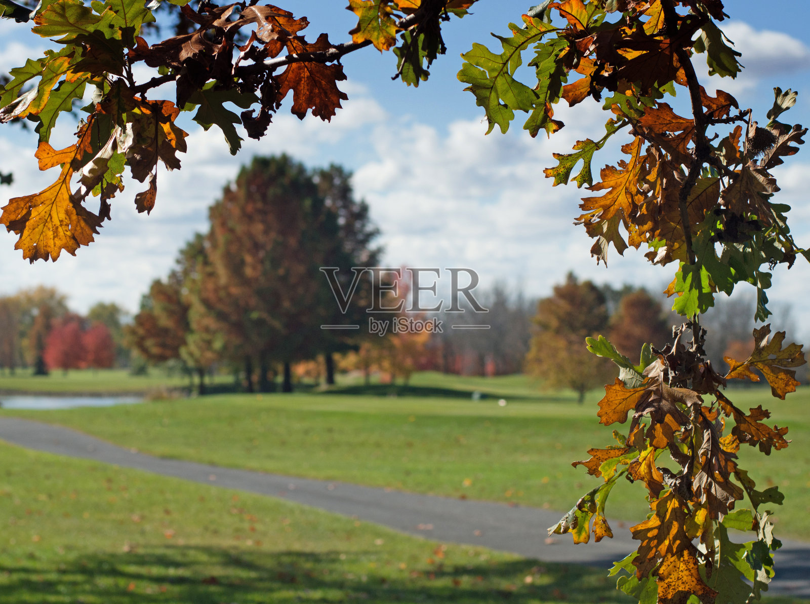下降。照片摄影图片
