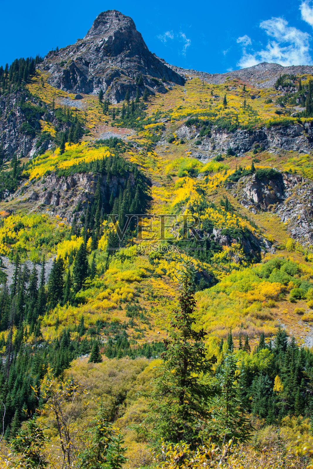 科罗拉多秋季树叶难题温泉小径照片摄影图片