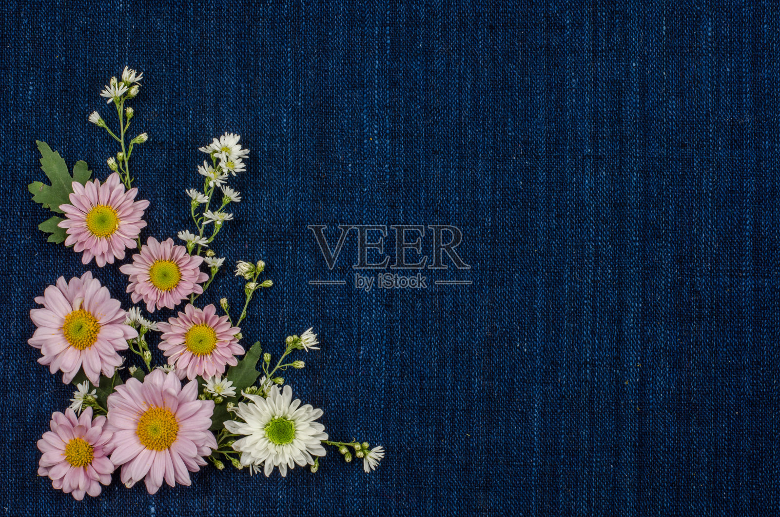 花照片摄影图片