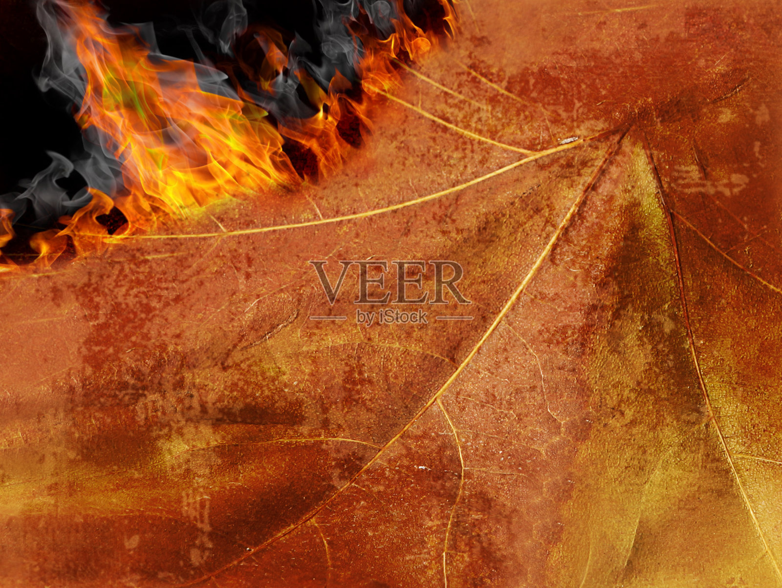 焚烧树叶背景照片摄影图片