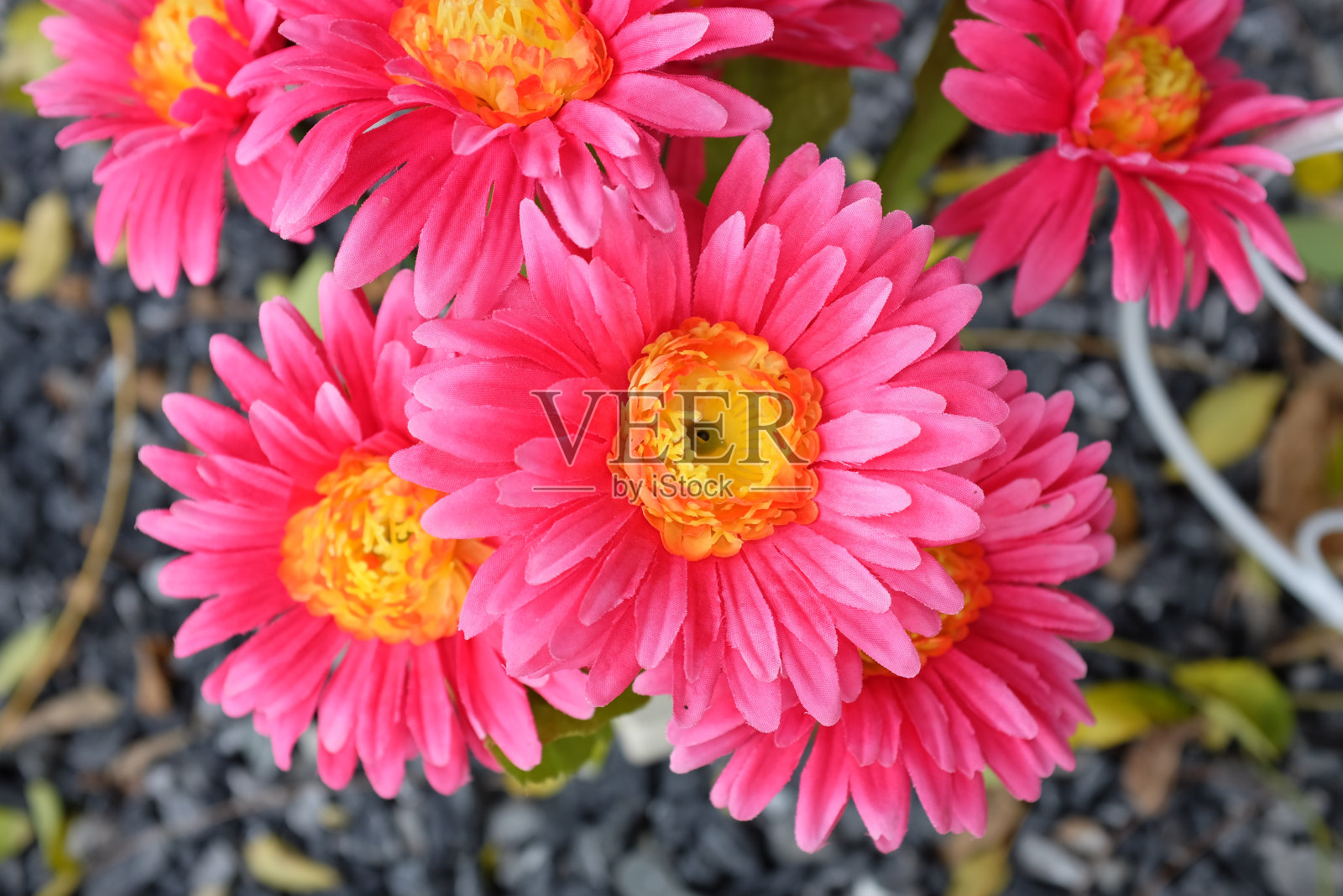 人造花卉照片摄影图片