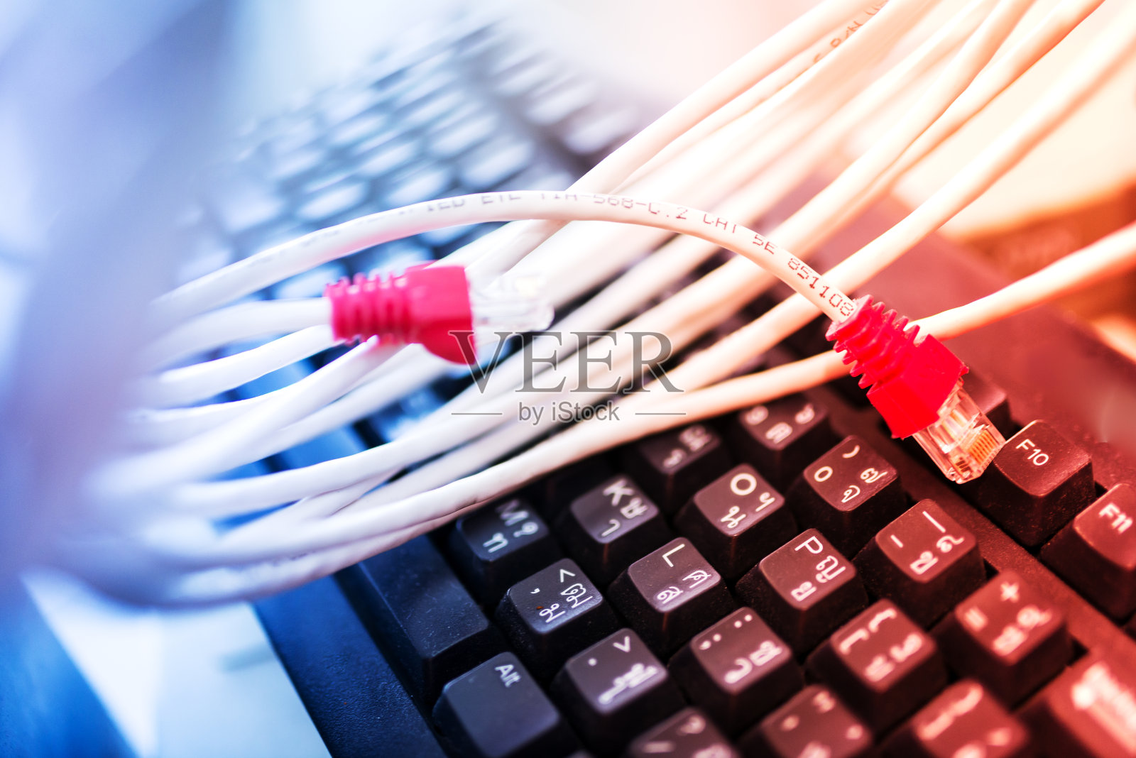 网络室的局域网电缆照片摄影图片